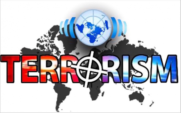 Distinctions of terrorism matter: Analysis
