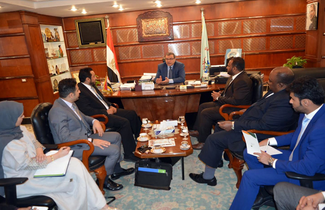 Egypt, Arabia discuss electronic linkage