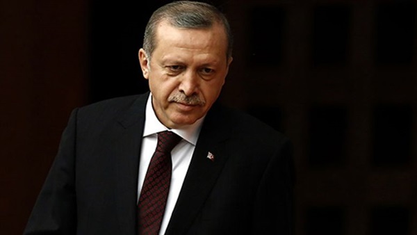 Geography professor: Arab countries must unite against Erdogan's ambitions