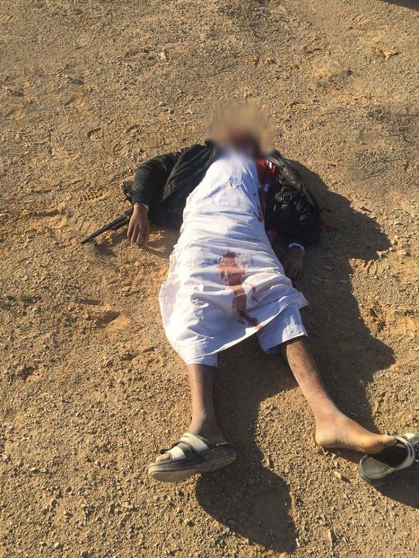 dangerous Terrorist killed in Sinai