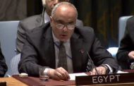 UN member countries unanimously agree on Egyptian resolution, US vetoes