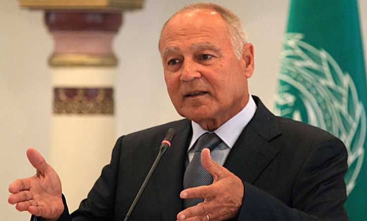 Arab League committed to standing by Comoros - Abul Gheit