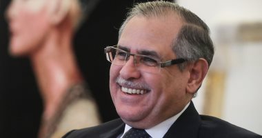 Russia, Egypt share similar views - ambassador