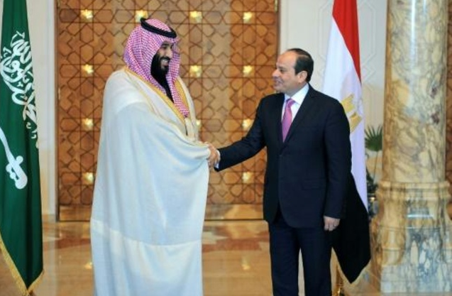 Egypt, Saudi Arabia say satisfied with level of mutual coop., coordination