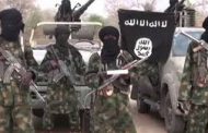 Over 50 Boko Haram fighters killed in Nigeria attack