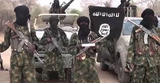 Over 50 Boko Haram fighters killed in Nigeria attack