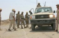 UAE pledges silences critics in Yemen and abroad