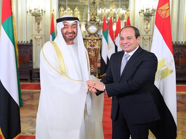 Sisi, bin Zayed witness inking of cooperation agreements