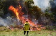 Australia fires: record-breaking temperatures fuel bushfires across the country