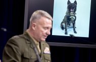 Trump wants to honor dog from Syria mission at White House