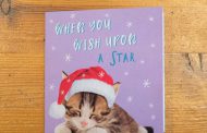 Christmas card 'cry for help': in the Chinese prison at the centre of forced labour claims