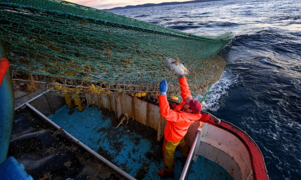 EU vessels will no longer have automatic access to UK fishing waters