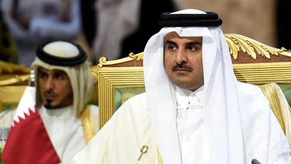 Campaigns funded by sister of Emir of Qatar to reproduce the 