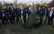 Most of 11m trees planted in Turkish project 'may be dead'