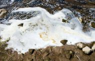 Pentagon causing toxic pollution by burning foam, campaigners say