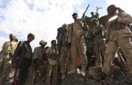 15 Houthis Killed, Dozens Wounded in Nihm Fighting