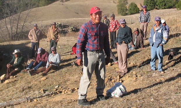 Mexico's deadly toll of environment and land defenders catalogued in report