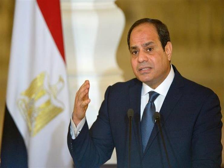 Egypt's institutions joining hands in fight against Covid-19