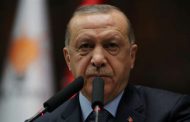 Brotherhood is over; Erdogan to get rid of it – Researcher