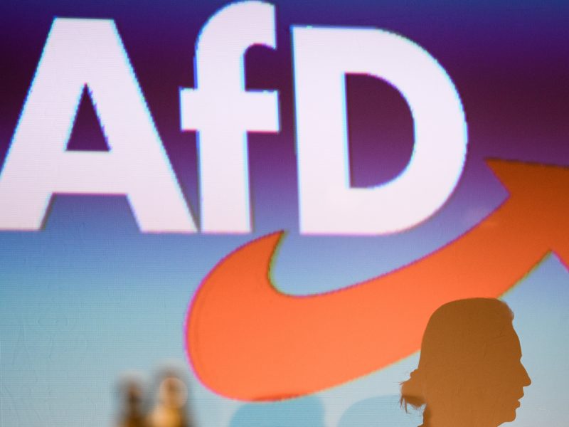 Germany's far-right AfD party placed under state surveillance