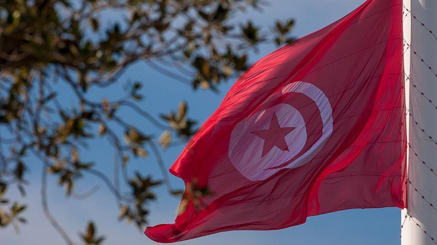 May crisis puts Tunisian government in trouble