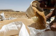 Syrian Drought Puts Assad’s ‘Year of Wheat’ in Peril