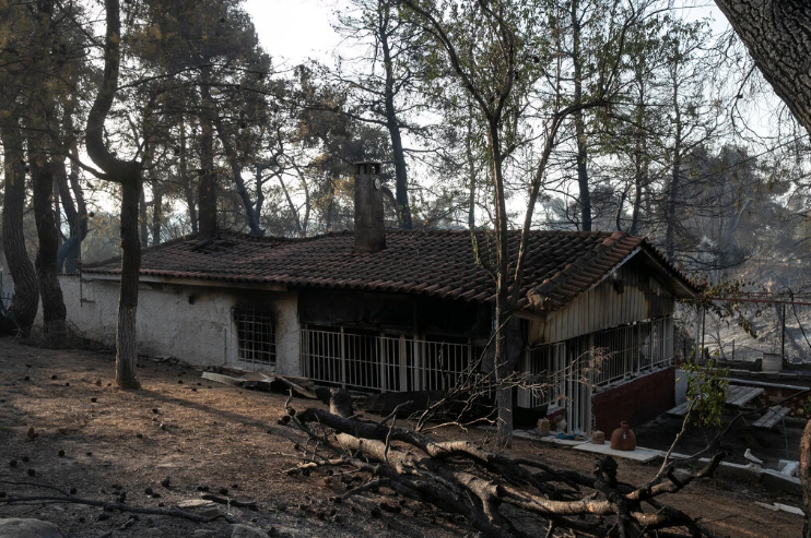 Turkey Is Next as Wildfires Afflict Mediterranean Countries