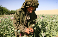 Afghan farms will keep supplying the world’s opium