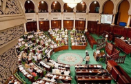 Libyan parliament foiling Brotherhood's bid to hinder elections