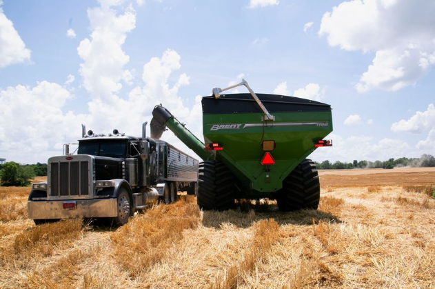 Wheat Prices Jump, Signaling More Food Inflation