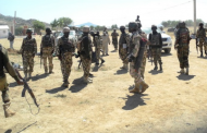 Nigerian army dealing painful blows to Boko Haram