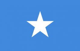 Somalia appeals for support in its fight against al-Shabaab