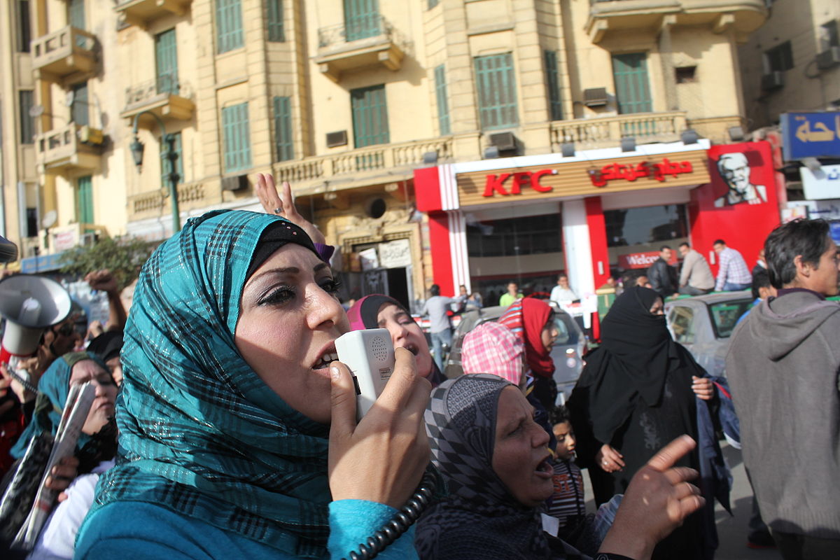 Muslim Brotherhood & Women's Rights (2)