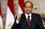 Al-Sisi: Egypt waging war on terror