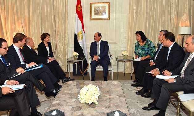 Sisi discusses combating terrorism with French Interior Minister