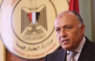 Egypt’s FM in Istanbul to lead Cairo delegation in OIC