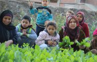 The fertile land, a daily scene from the Egyptian countryside