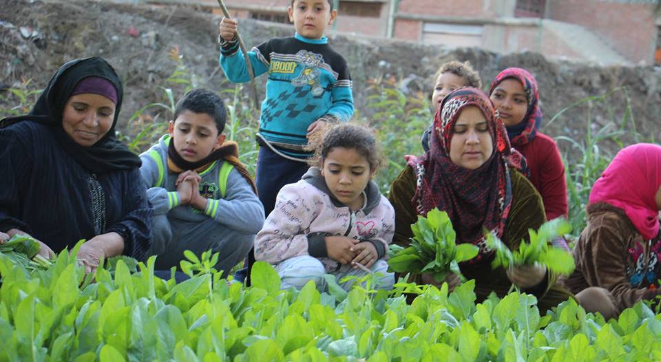 The fertile land, a daily scene from the Egyptian countryside