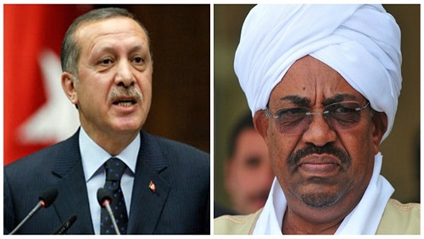 Fleeing Brotherhood figures feature in Erdogan-Bashir talks