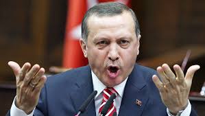MPs denounce Erdogan moves in the region
