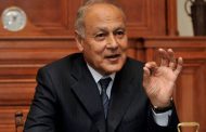Paid dues of Arab states cover only 50% of Arab League budget - Abul Gheit