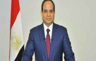 Sisi to review success story during 