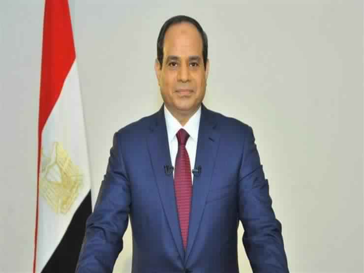 Sisi to review success story during 