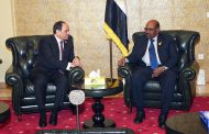 Sisi, Bashir meet in Addis Ababa