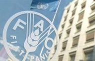 Agriculture minister to attend FAO regional conf. in Sudan