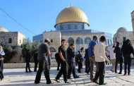 Aqsa Mosque guards, Jewish settlers clash near Al Rahma Gate