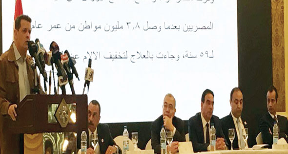 Party accuses foreign papers, human rights groups of issuing false reports on Egypt