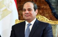 Sisi's first presidential term 