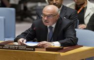 UN official lauds Egypt's anti-terrorism efforts
