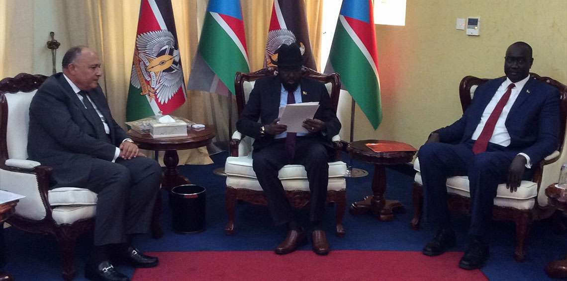 Shoukry hands over message from Sisi to his South Sudanese counterpart
